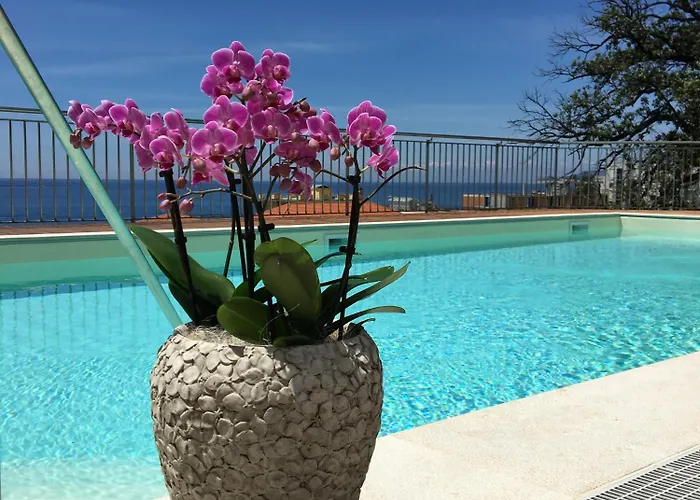 Hotel sulla spiaggia: Hotel Mediterraneo